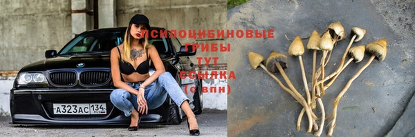 дурь Белоозёрский