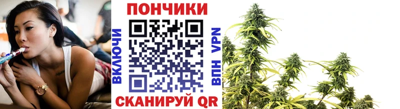 Марихуана планчик  Нижнеудинск 